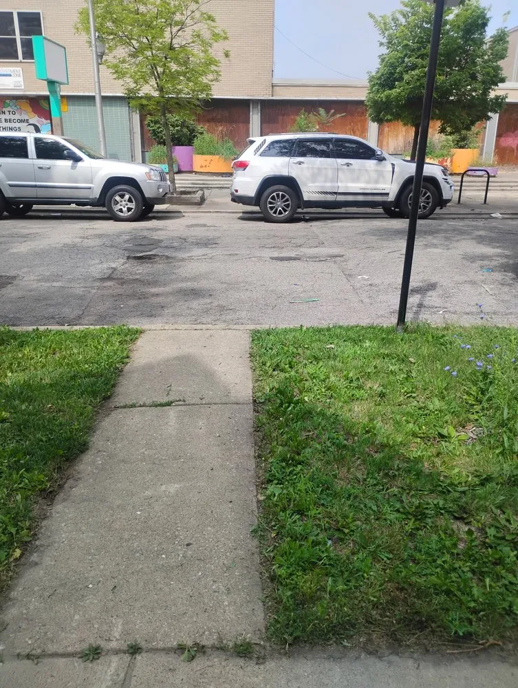 Custom yard cleanup service experts serving Chicago, IL - El Mae Lawn Care Services