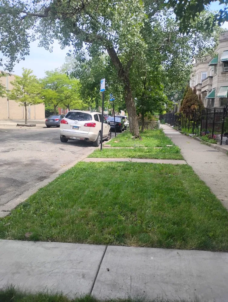Trusted yard maintenance in Chicago, IL by El Mae Lawn Care Services