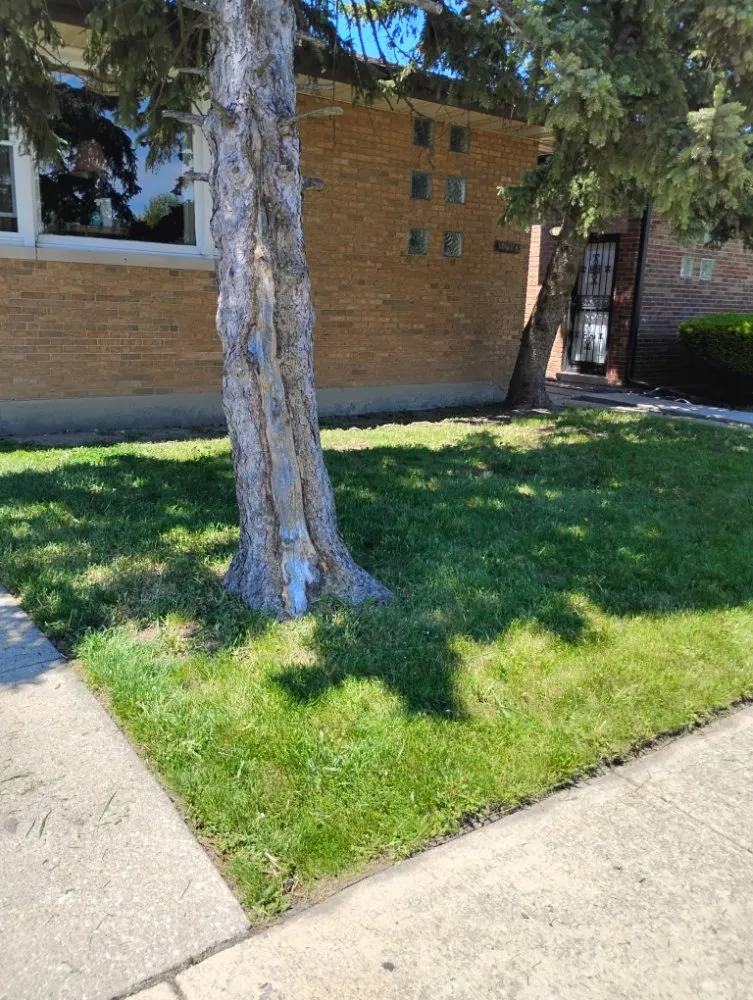 Professional lawn mowing service in Chicago, IL - El Mae Lawn Care Services