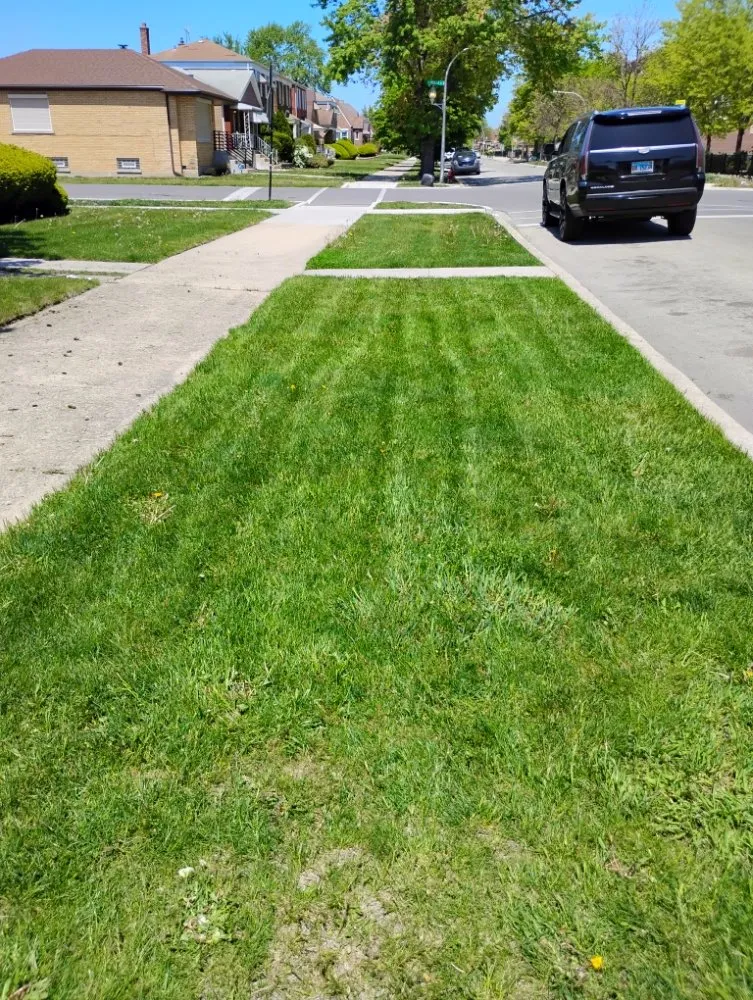 Local garden landscaping near you in Chicago, IL by El Mae Lawn Care Services