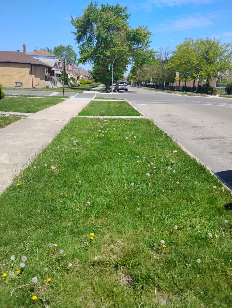 Reliable lawn mowing service in Chicago, IL - El Mae Lawn Care Services