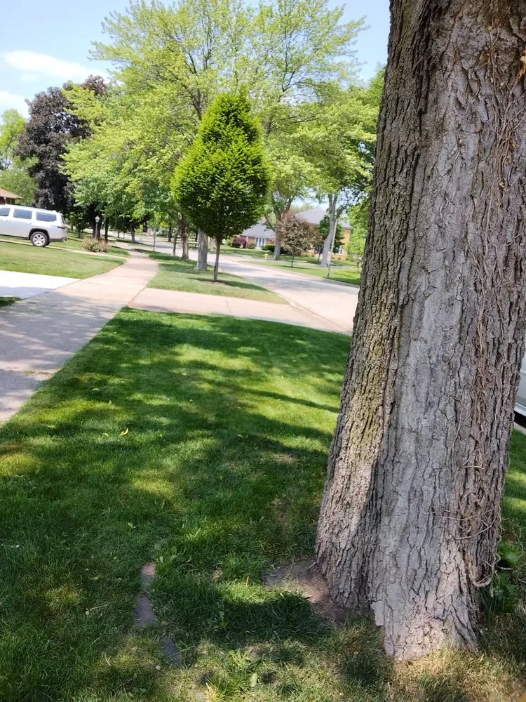 Top-rated outdoor landscaping with custom design in Chicago, IL by El Mae Lawn Care Services