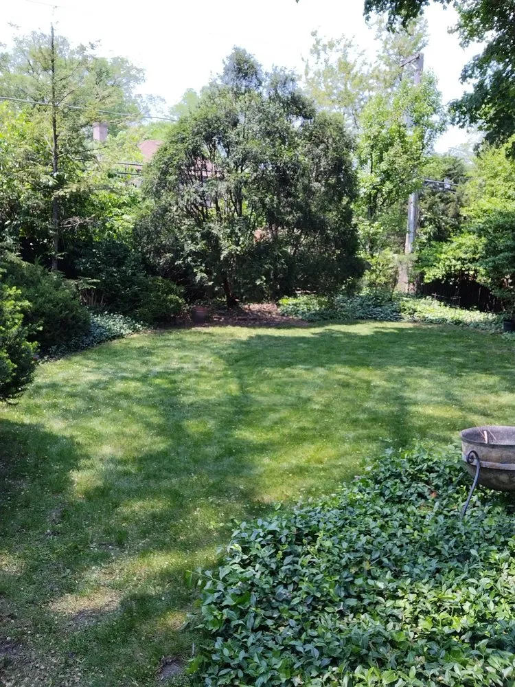 Trusted landscaping services for homes in Chicago, IL by El Mae Lawn Care Services