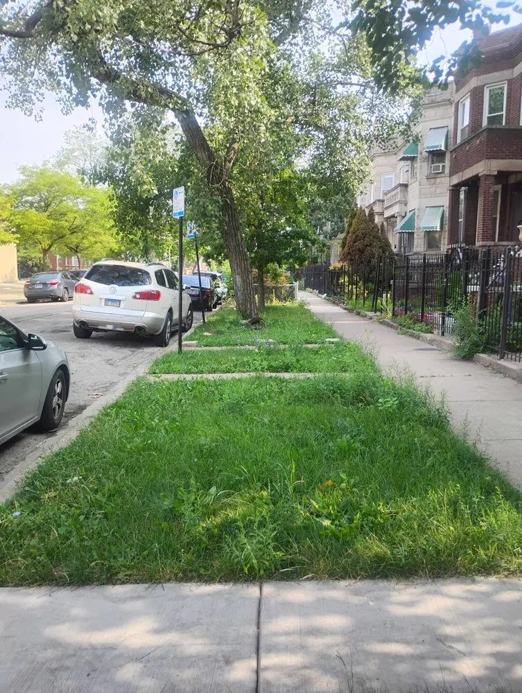 Trusted landscape design experts serving Chicago, IL - El Mae Lawn Care Services