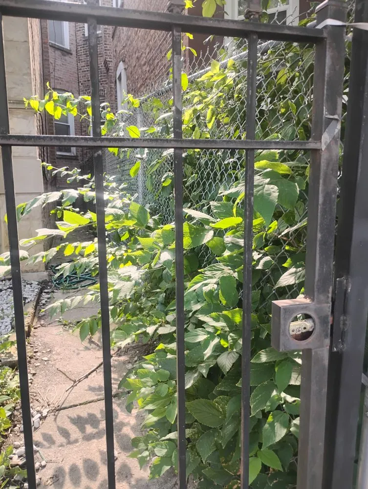 Reliable landscape installation in Chicago, IL by El Mae Lawn Care Services