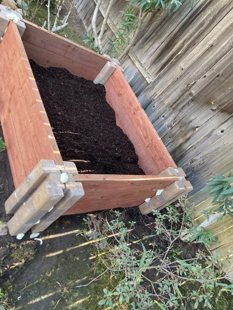 Trusted lawn care service in Bakersfield, CA - El Maguey Landscaping