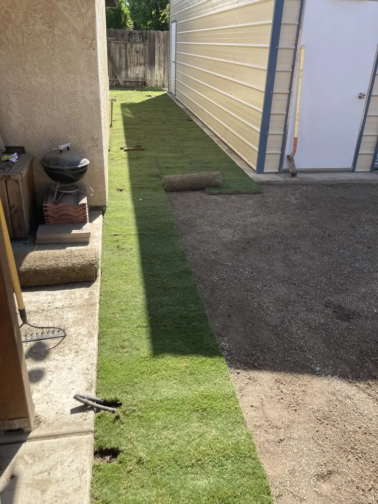 Expert lawn care service near you in Bakersfield, CA by El Maguey Landscaping