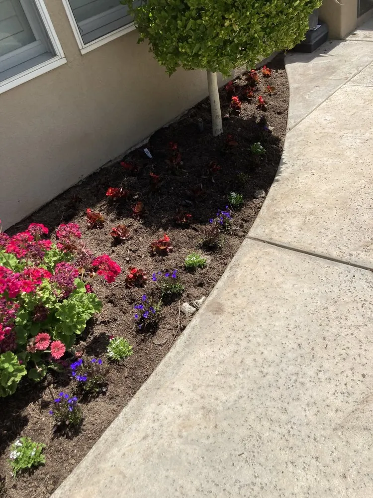 Reliable landscape design for year-round maintenance across Bakersfield, CA - El Maguey Landscaping