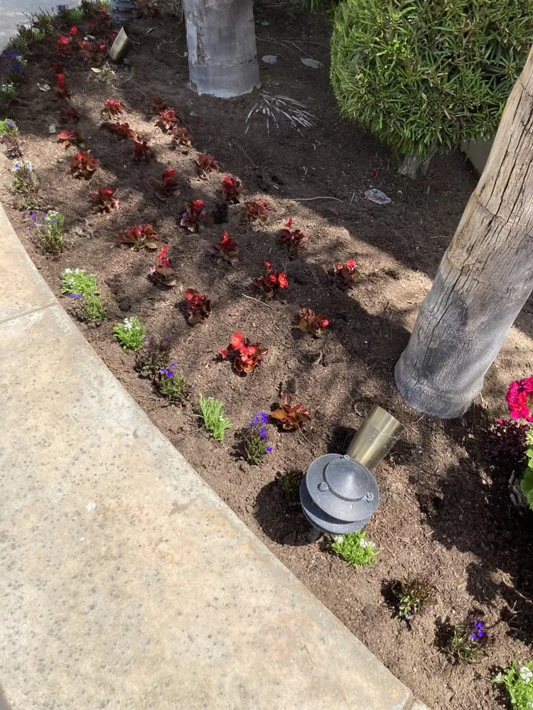 Custom lawn mowing service for year-round maintenance across Bakersfield, CA - El Maguey Landscaping