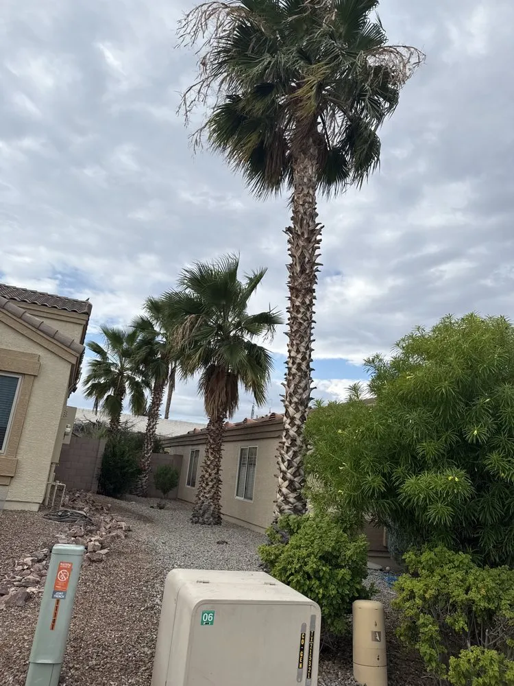 Trusted lawn mowing service for homes in Peoria, AZ by El Mana Landscaping