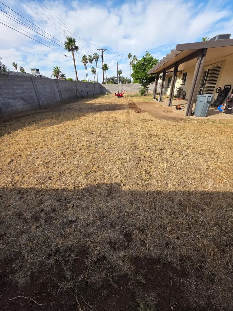 Top-rated outdoor landscaping for beautiful yards in Peoria, AZ by El Mana Landscaping