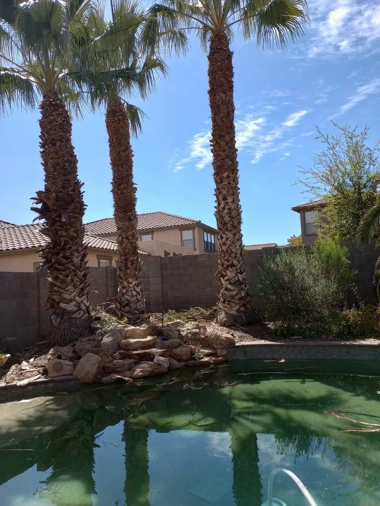 Custom outdoor landscaping experts serving Peoria, AZ - El Mana Landscaping
