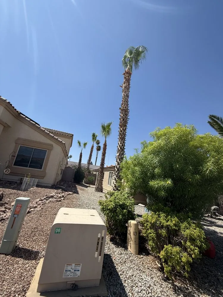 Local landscape installation near you across Peoria, AZ - El Mana Landscaping