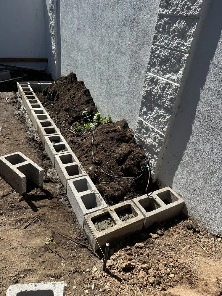 Expert garden landscaping for year-round maintenance in Peoria, AZ by El Mana Landscaping