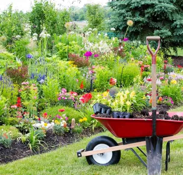 Expert landscape design for homes in Charleston, SC by El Mexicano Landscaping