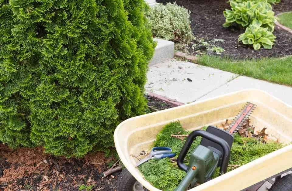 Expert garden landscaping in Charleston, SC by El Mexicano Landscaping