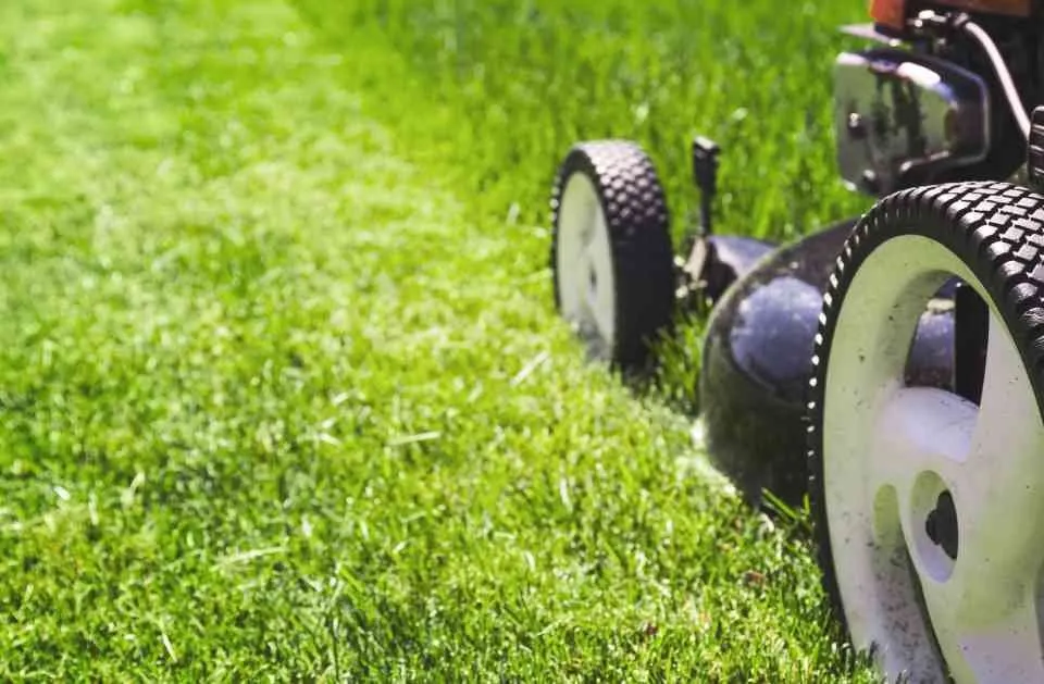 Professional landscape installation for outdoor upgrades across Charleston, SC - El Mexicano Landscaping