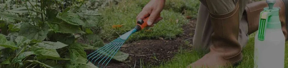 Expert landscape design for homes in Charleston, SC by El Mexicano Landscaping