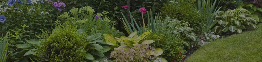 Reliable residential landscaping in Charleston, SC - El Mexicano Landscaping