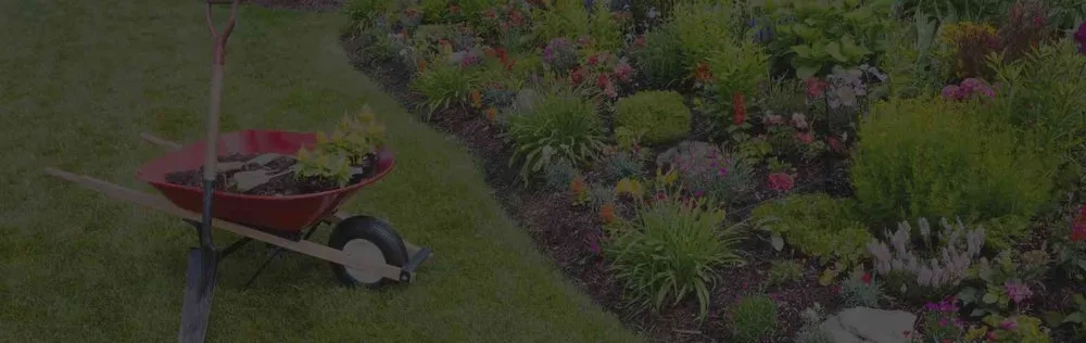 Custom garden landscaping in Charleston, SC by El Mexicano Landscaping