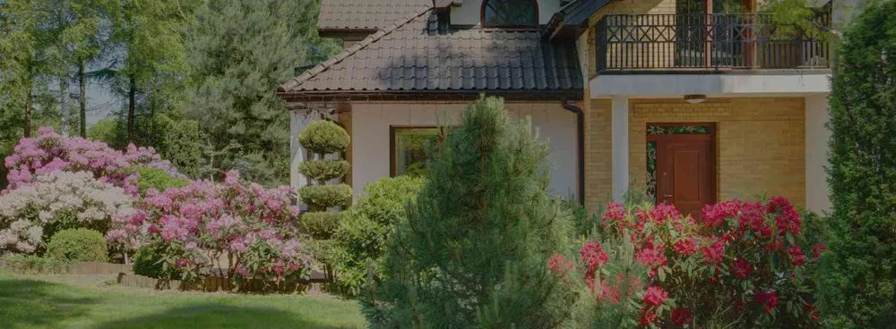 Local lawn mowing service experts serving Charleston, SC - El Mexicano Landscaping