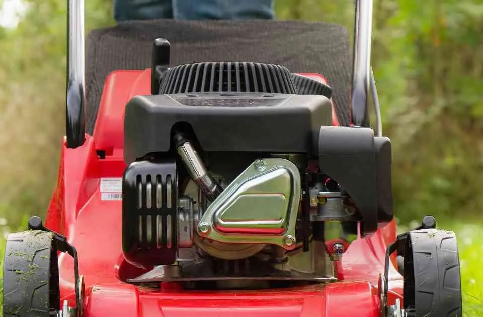 Custom yard cleanup service for year-round maintenance across Charleston, SC - El Mexicano Landscaping