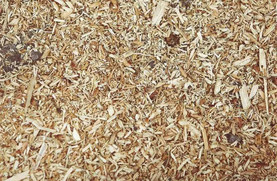 Custom yard maintenance in Charleston, SC - El Mexicano Landscaping