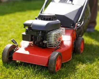 Affordable landscape design in Charleston, SC - El Mexicano Landscaping