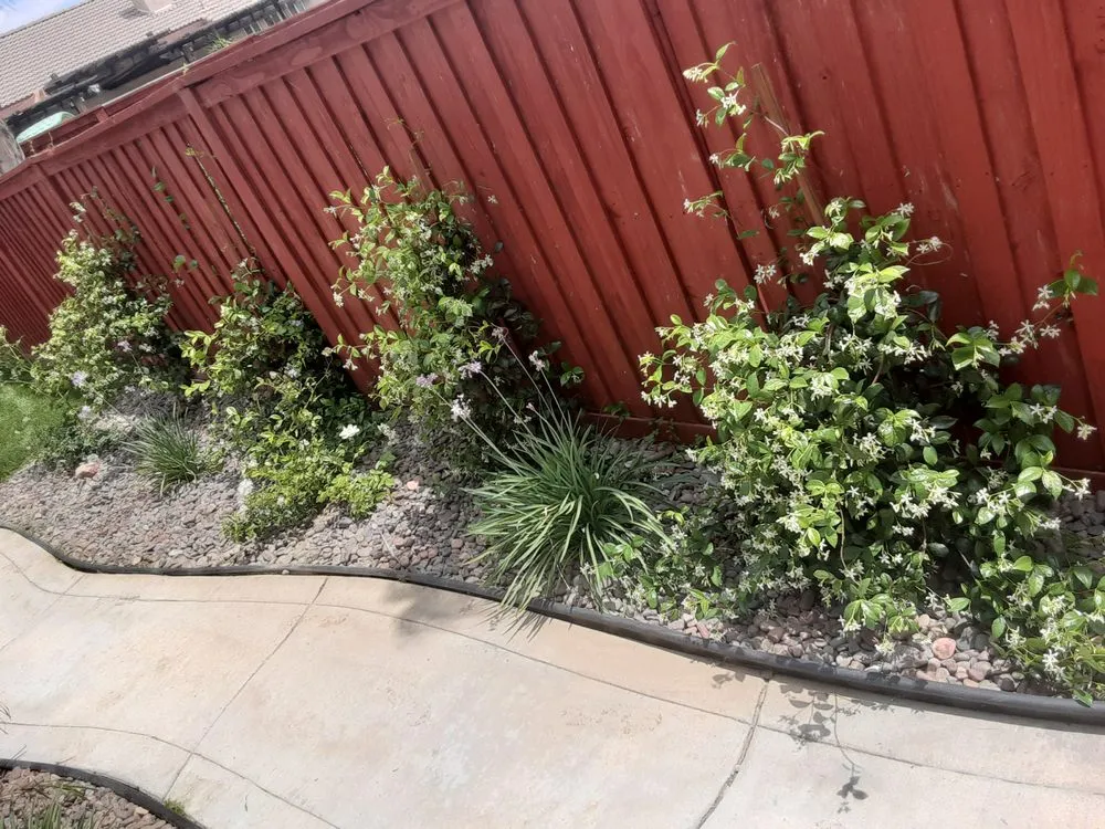 Expert yard maintenance experts serving Gilman Hot Springs, CA - El Nino Gardening & Landscape