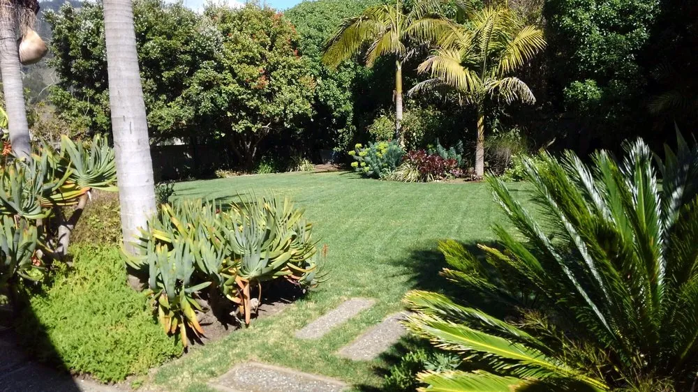 Professional garden landscaping near you in Windsor, CA by El Paraiso Landscaping