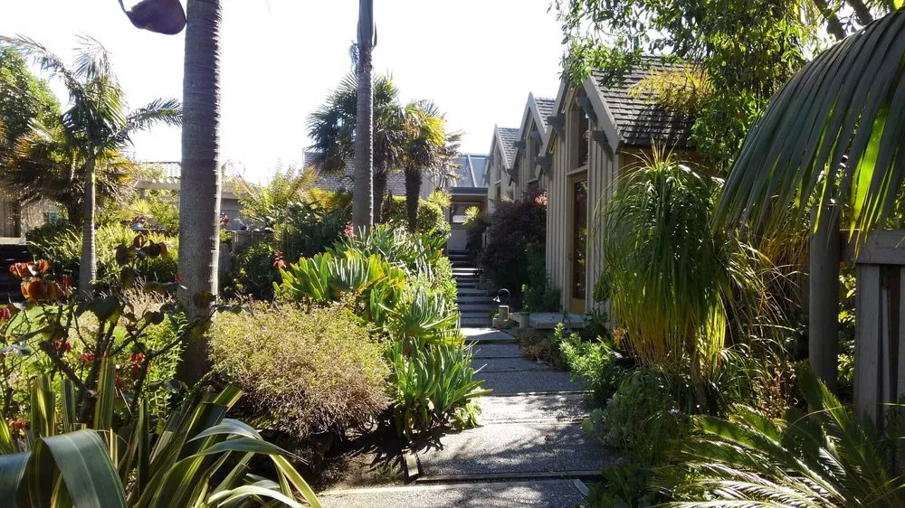 Top-rated residential landscaping in Windsor, CA - El Paraiso Landscaping