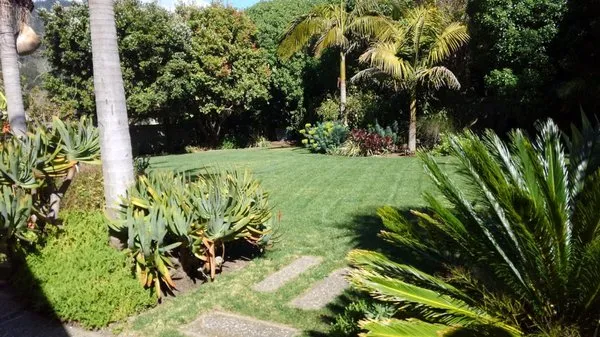 El Paraiso Landscaping Logo