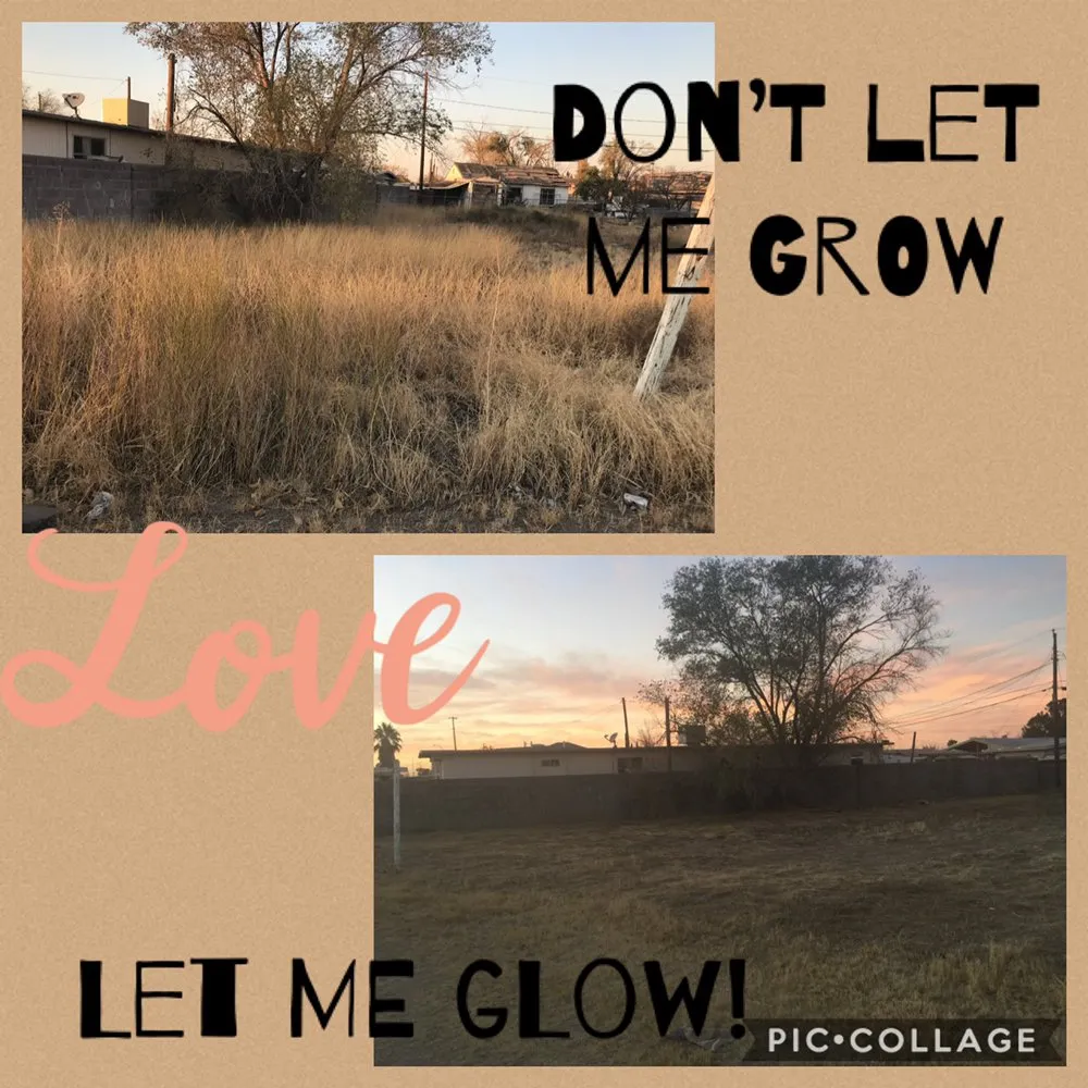 Trusted landscaping services in El Paso, TX by El Paso Landscapers