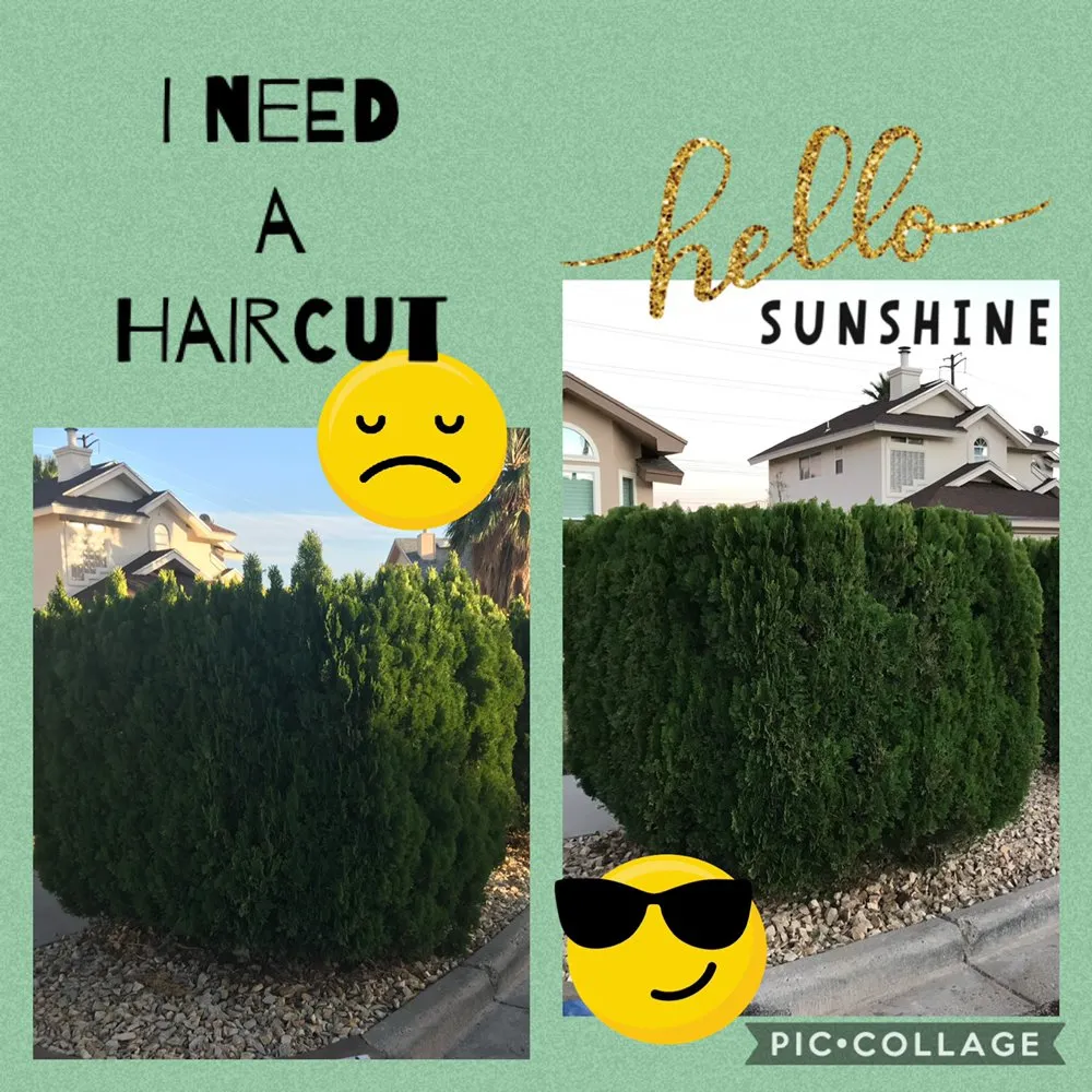 Trusted landscape design in El Paso, TX - El Paso Landscapers