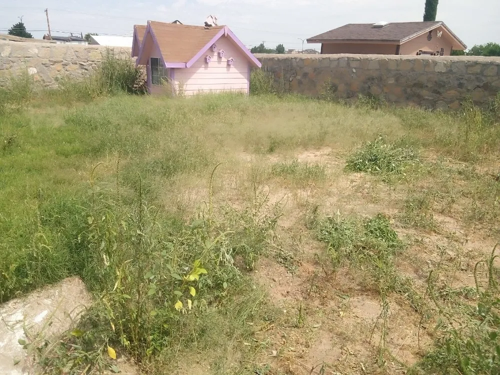 Reliable lawn care service in El Paso, TX - El Paso Landscaping