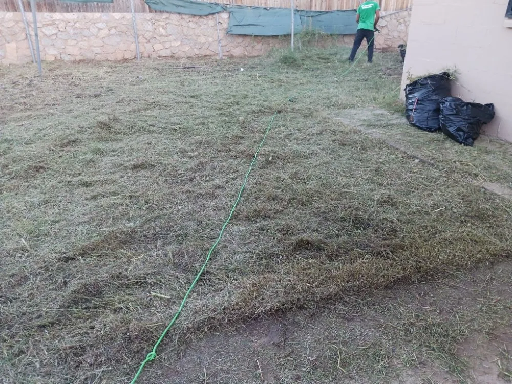 Custom yard cleanup service in El Paso, TX by El Paso Landscaping