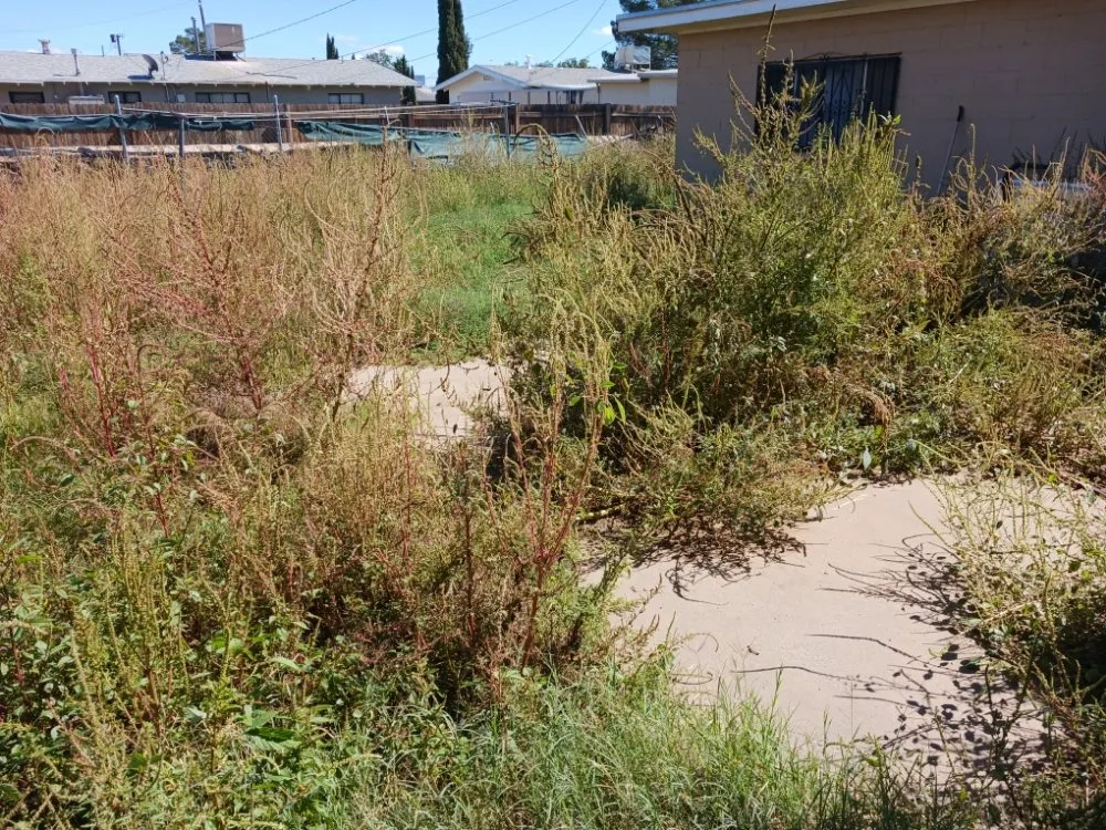 Trusted landscape installation in El Paso, TX by El Paso Landscaping