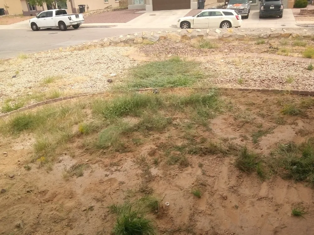 Top-rated outdoor landscaping for year-round maintenance across El Paso, TX - El Paso Landscaping