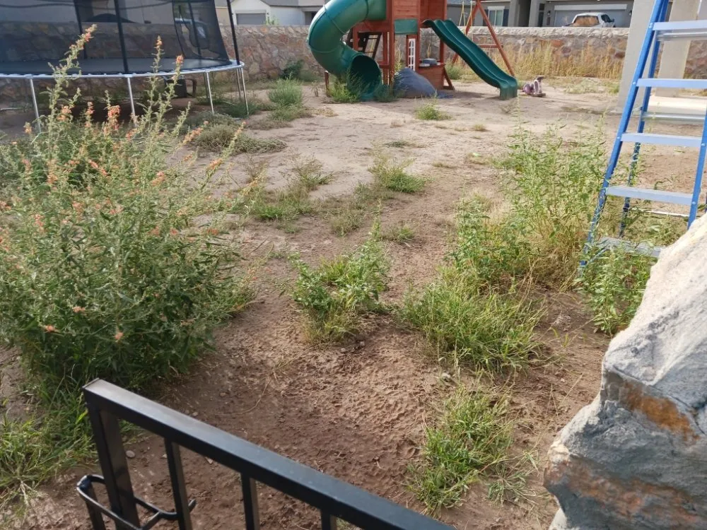 Affordable outdoor landscaping for outdoor upgrades across El Paso, TX - El Paso Landscaping