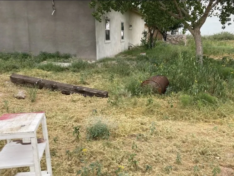 Reliable yard cleanup service in San Elizario, TX by El Paso Lawn Care