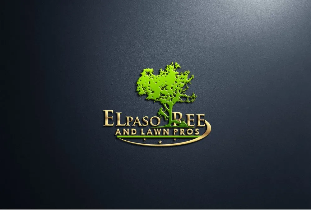 Top-rated landscape installation in El Paso, TX by El Paso Tree And Lawn Pros