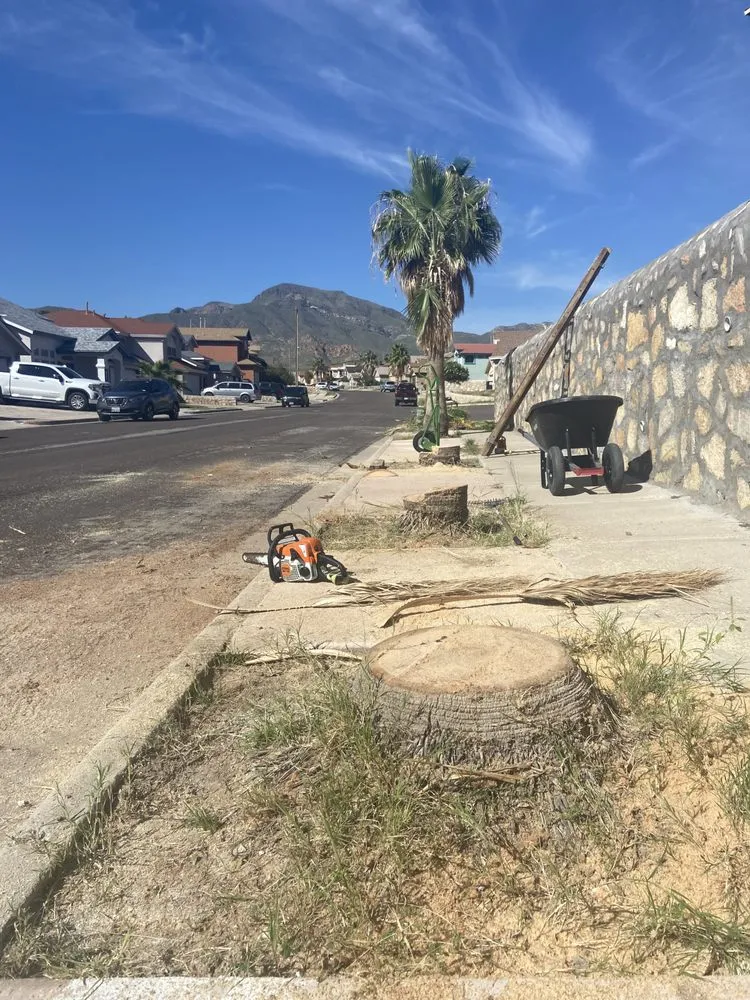 Trusted lawn mowing service in El Paso, TX - El Paso Tree And Lawn Pros