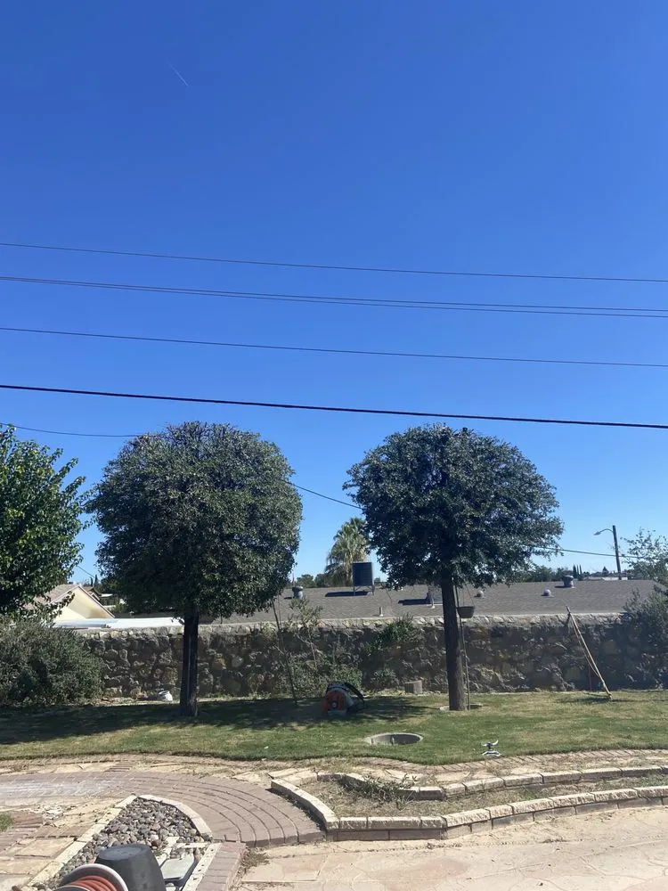 Custom garden landscaping in El Paso, TX - El Paso Tree And Lawn Pros