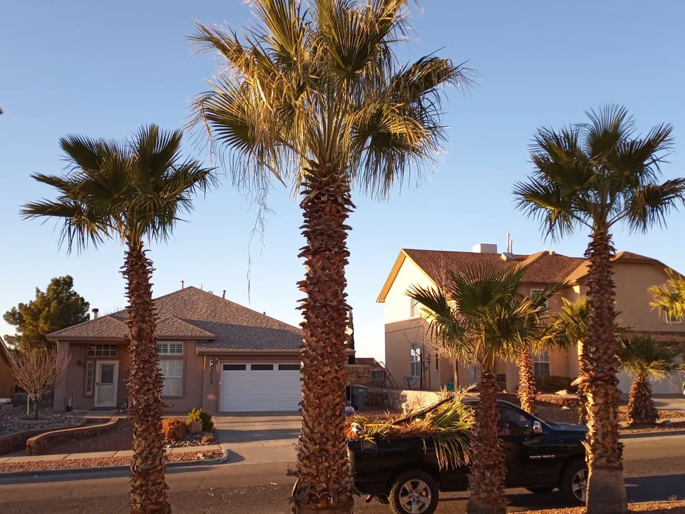 Reliable residential landscaping for beautiful yards across El Paso, TX - El Paso Tree And Lawn Pros