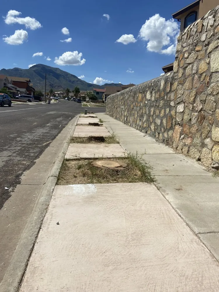 Custom outdoor landscaping experts serving El Paso, TX - El Paso Tree And Lawn Pros