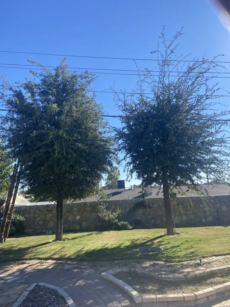 Affordable residential landscaping for homes in El Paso, TX by El Paso Tree And Lawn Pros