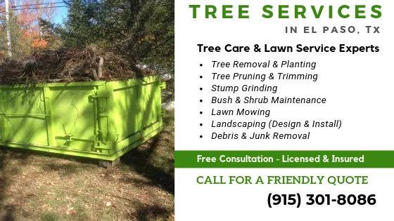 Expert lawn mowing service in El Paso, TX by El Paso Tree Removal