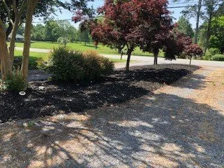 Trusted landscape design near you in Boonville, NC by El Perico Tree Service and Lawn Care