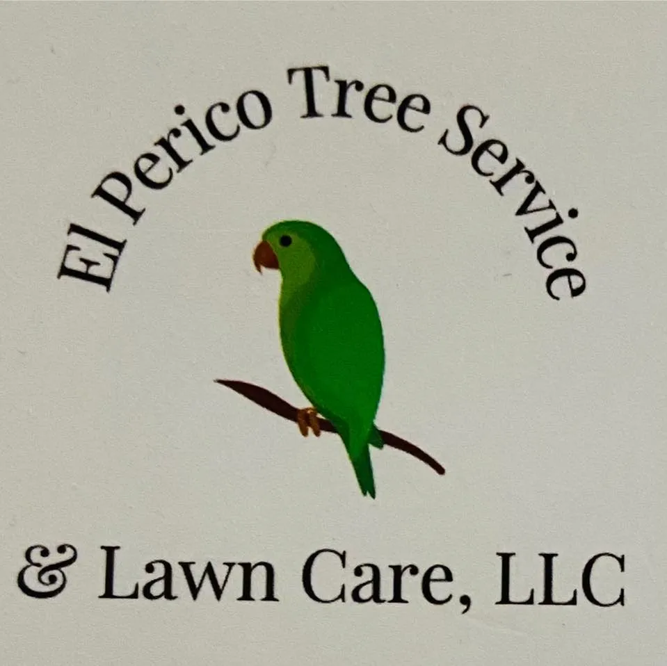 Reliable outdoor landscaping with custom design in Boonville, NC by El Perico Tree Service and Lawn Care