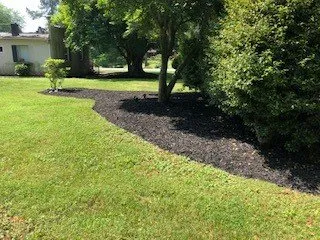 Affordable residential landscaping in Boonville, NC - El Perico Tree Service and Lawn Care
